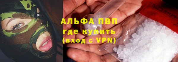 прущие грибы Переславль-Залесский