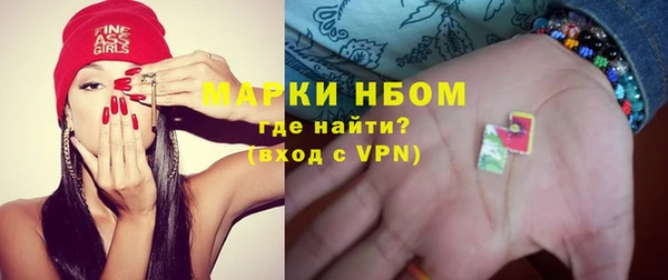 прущие грибы Переславль-Залесский