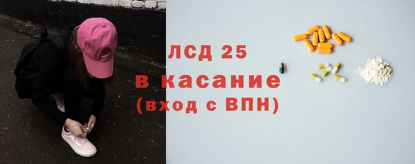 прущие грибы Переславль-Залесский
