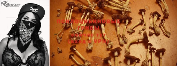герыч Пересвет