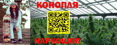 прущая мука Аргун