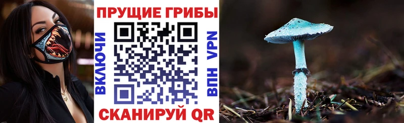 darknet клад  где купить   Балахна  Галлюциногенные грибы Cubensis 