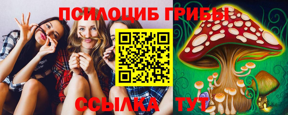 Псилоцибиновые грибы мицелий  Балахна 