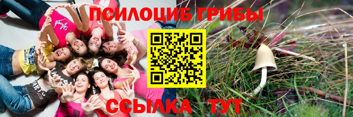 Балахна  Псилоцибиновые грибы ЛСД  Галлюциногенные грибы мицелий  где продают   Вход с VPN 