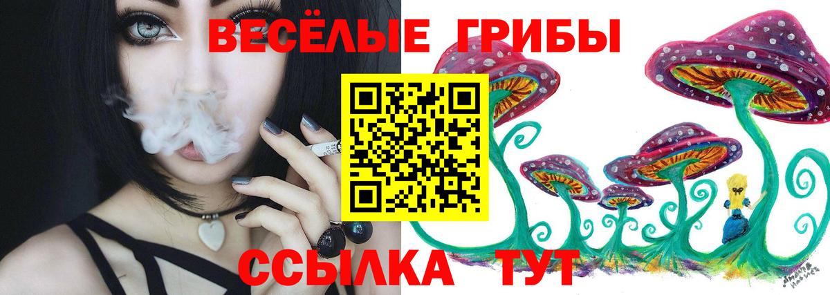 Псилоцибиновые грибы MAGIC MUSHROOMS Балахна