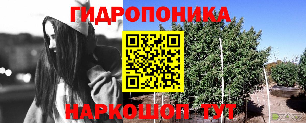 Бошки Шишки OG Kush Балахна
